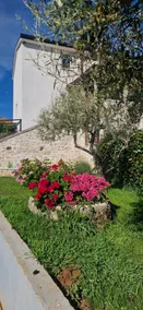 Vrsar, Begi, heated pool,10 min drive to the beach - Image 3