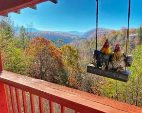 Amazing View Dollywood Pet-Friendly Mountain Cabin - Image 2