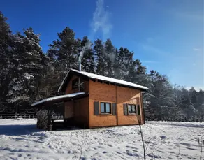 Chata Leśna Polana - Jeleń cottage - Image 5