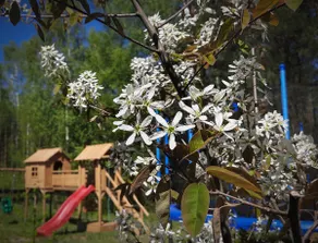 Chata Leśna Polana - Jeleń cottage - Image 4