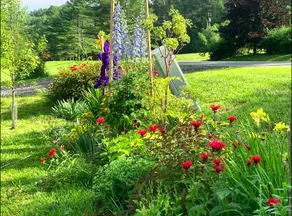 Hike, run, swim, cycle in green central Vermont - Image 2
