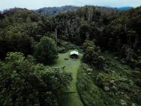 ”Birdsong @ Girralong” - Secluded forest cabin - Image 2