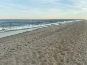 Seaclusion Near Bethany Beach - Image 2