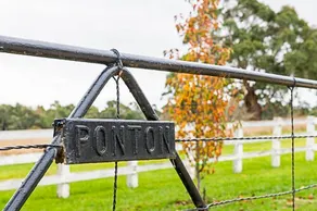 Stylish cottage on historic property near Kyneton - Image 2