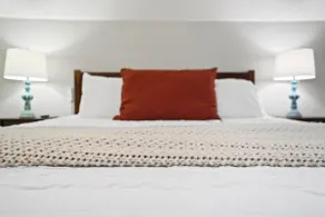 Pet & Family-Friendly 4BR, Sports Court Near NGU - Image 4