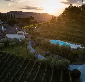 Villa Mareli surrounded by vineyards with pool-spa - Image 4