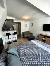Magnificent Studio in the City Center - Direct to Paris - Image 2