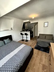 Magnificent Studio in the City Center - Direct to Paris - Image 3