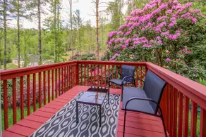Owl’s Nest Treetop Oasis - 25 to AVL, 25 to skiing - Image 4
