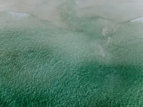 Premium Central Oceanfront Location! Tulum. - Image 4