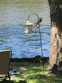 Riverfront Cabin w/fire pit - Image 5