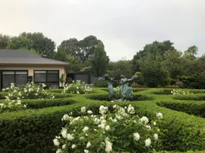 ”Wotama”- Spectacular Honour Avenue, Mount Macedon - Image 2