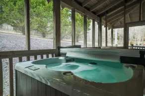 NEW Twin River Cabin @ Soquee River - N. Georgia - Image 3