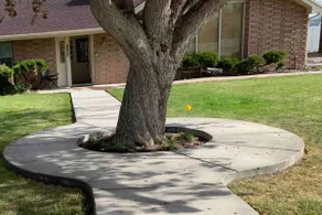 Circle Tree Hideout - Image 2