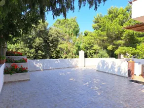 Domus de sole - Image 3