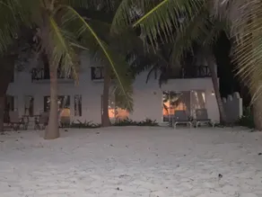 Paradise Beach with turtles - Image 2