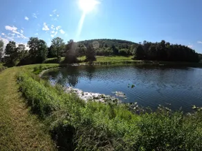 1/2 mile to EVL, Lake, HOT TUB, Pets welcome - Image 2