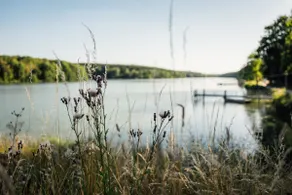 das_hausamsee - Image 3