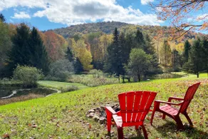 Newly Renovated Cabin - 15 Private Acres & 2 Ponds - Image 5