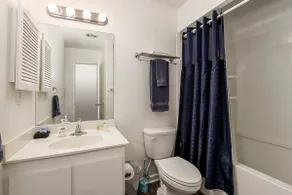 Lakeside Retreat and Close to UA! 838 reviews. - Image 5
