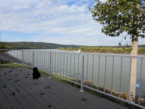 Ohio River Retreat - Relax Riverside With Us - Image 5