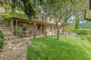 Borgo Metato – Olive Grove - Image 5