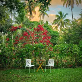 Comfortable house, place in Praia dos Carneiros. - Image 3