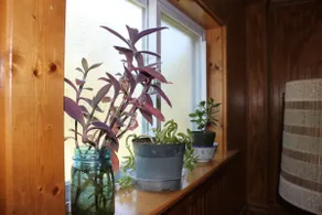 1 Bedroom, 1 block to BEACH, Full Kitchen - Image 3