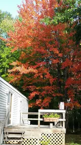 Nicolet Nook - Image 3