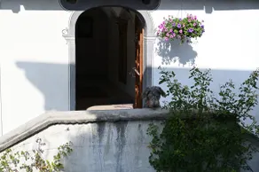 Vacation in the listed von Sprecher House #1 - Image 4