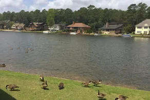 Lakefront, Ground Level, 2BR, 2BA, 2020 Renovation - Image 2