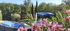 “Gîte Bellevue • Swimming pool & panoramic view” - Image 3