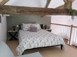 ”Tilleul” 3* Atypical duplex in the heart of the vineyard. - Image 4
