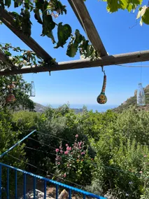 Detached House with View and Garden in Mesudiye, Datça - Image 2