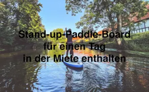 Holzdielen, Kamin, Rock 'n' Roll - Image 4