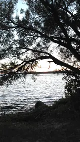 Lakefront Retreat-Sylan Beach Summer Sunset Sale ! - Image 5