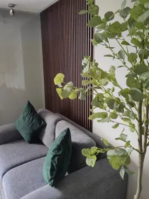 Spacious and Modern Apartment 5 minutes from Poliforum - Image 2