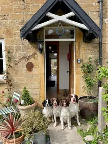Spaniel Cottage with views of Ham hill, Stoke sub Hamdon - Image 5
