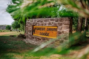Forest Dawn Lodge - Image 2