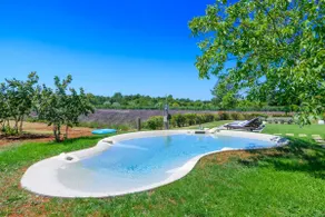 Holiday house Brajdine Lounge - Image 3