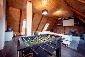 Luxury farm Otovice with unique wellness - Image 3