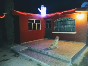 Casa de Campo in Xochitlan - Image 5