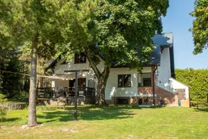 FOREST RESIDENCE - Image 2