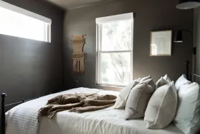 Bay Suite in Heart of Dunedin - Image 3