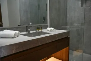 Executive loft in the best area of Guadalajara - Image 4