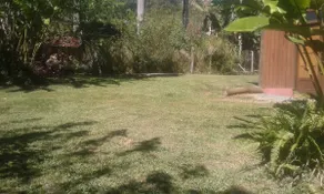 Hummingbird's Corner - Sheila's Chalet - Image 4