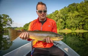 Cozy fishing cabin on the South Holston River - Image 3