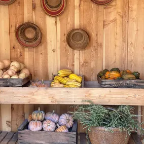 Casa Vieja at PT Ranch - Image 4