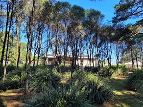 Wollemi House - in forest and waterways with pool - Image 5