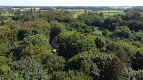 Aastedhytten - forest house with great views. - Image 3